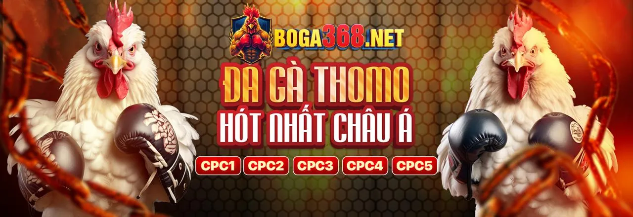 Hình ảnh minh họa cookie bên thứ ba và mạng lưới đối tác của win678c